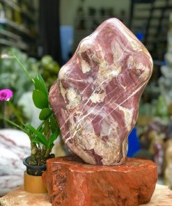 CÂY ĐÁ PHONG THỦY VÂN (Sao chép)