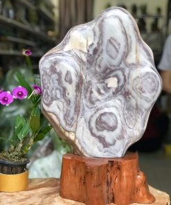 CÂY ĐÁ PHONG THỦY VÂN (Sao chép) (Sao chép)